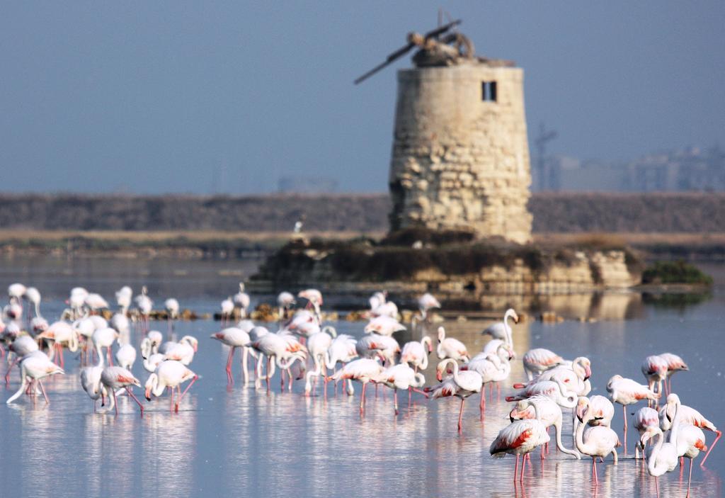 Appartamenti Trapani Mare المظهر الخارجي الصورة